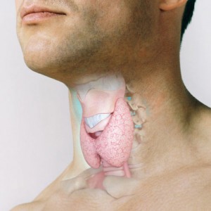 ten_questions_about_your_thyroid
